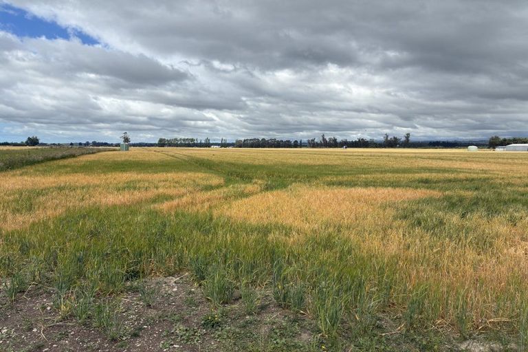 Photo of property in 215 Falvey Road, Levels, Timaru, 7975