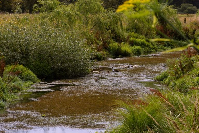 Photo of property in 327 Wanganui Flat Road, Harihari, 7884