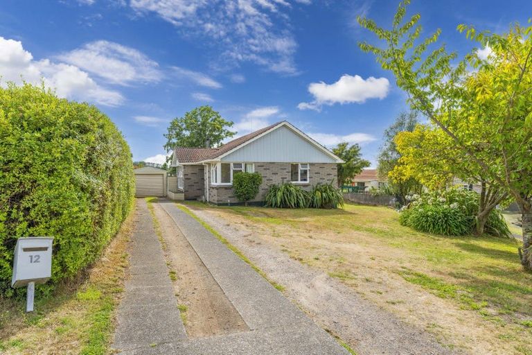 Photo of property in 12 Nikau Street, Wairakei, Taupo, 3332