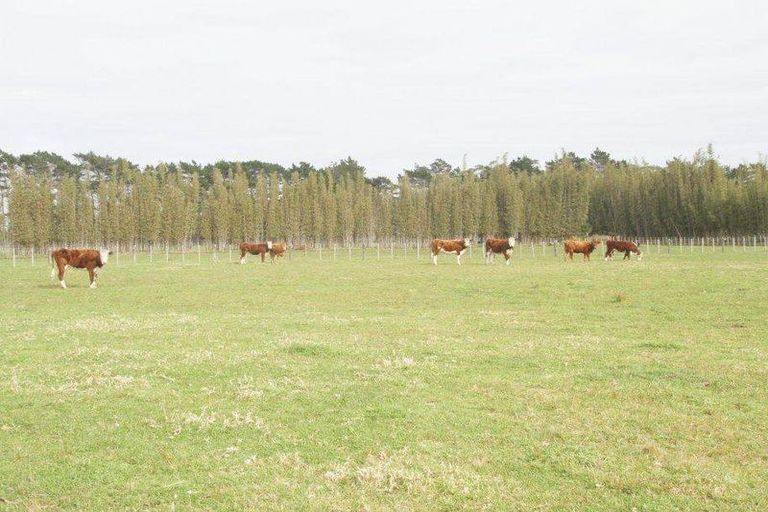 Photo of property in 90a Trig Road, Houhora, Kaitaia, 0484