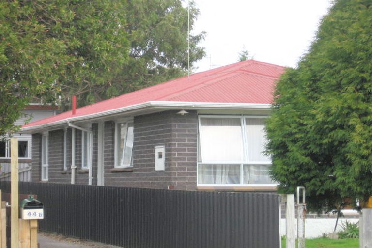 Photo of property in 44a Links Avenue, Mount Maunganui, 3116