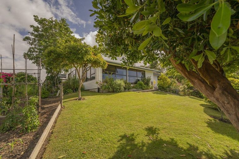 Photo of property in 29 School Of Mines Lane, Kuaotunu, Whitianga, 3592