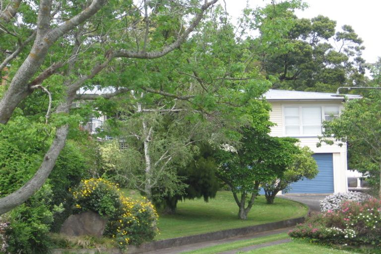 Photo of property in 19 Hill Street, Paeroa, 3600