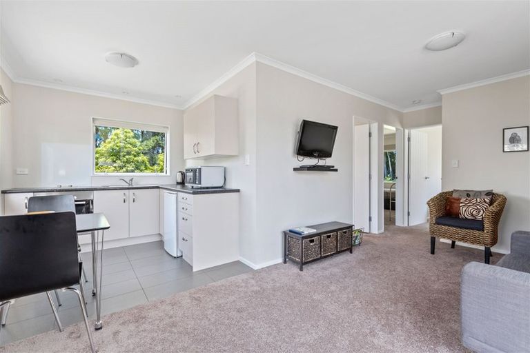 Photo of property in 388 Bidwills Cutting Road, Morison Bush, Greytown, 5794