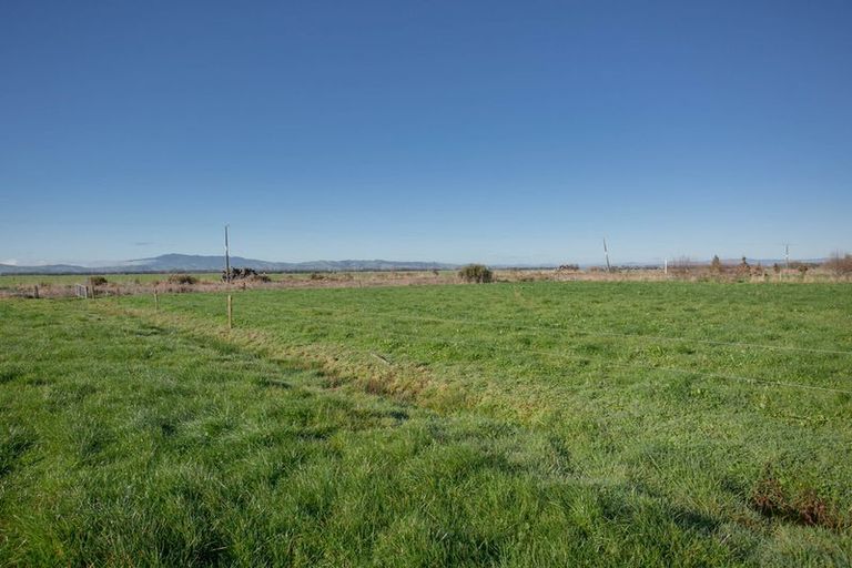 Photo of property in 672 Jary Road, Ohaupo, Cambridge, 3495