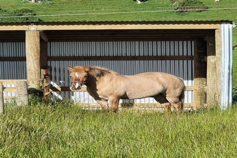 Photo of property in 1037 Reaby Road, Upper Charlton, Gore, 9774