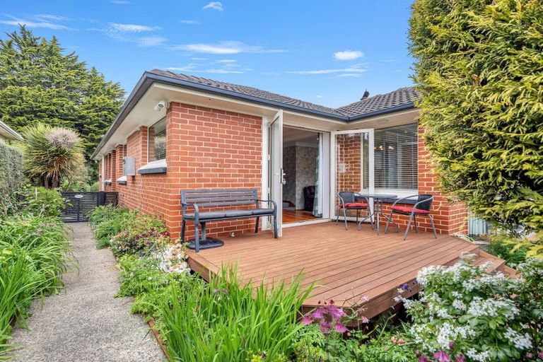 Photo of property in 17 Northfield Avenue, Opoho, Dunedin, 9010