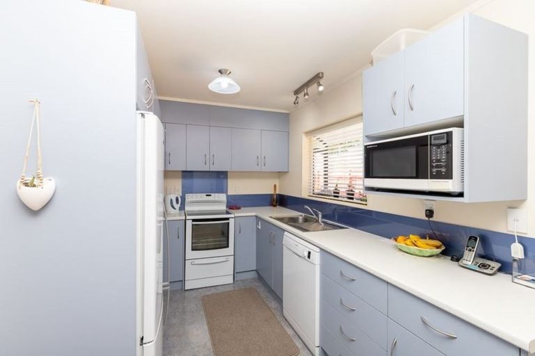 Photo of property in 39b Fifth Avenue, Enderley, Hamilton, 3214