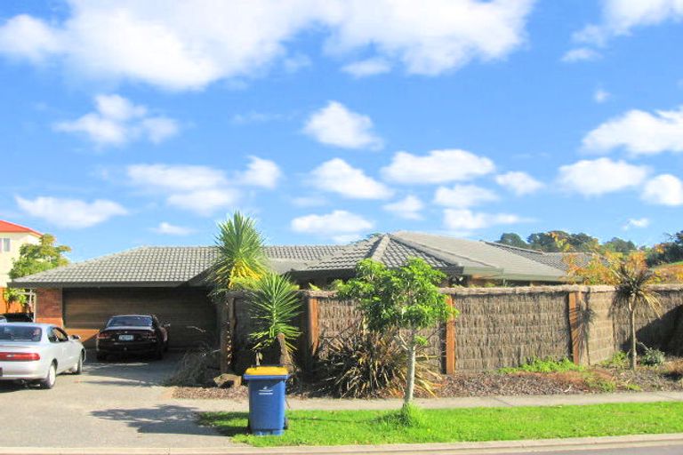 Photo of property in 54 Roy Maloney Drive, Henderson, Auckland, 0612
