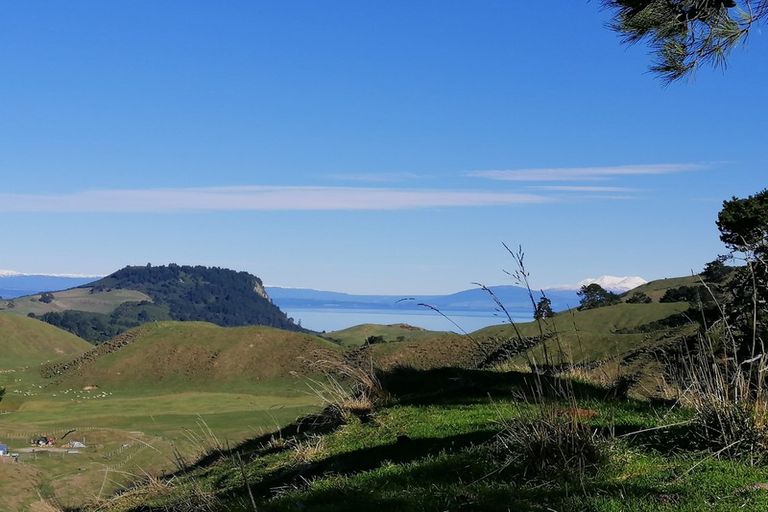 Photo of property in 76 Charnley Way, Kinloch, Taupo, 3385