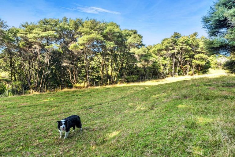 Photo of property in 158 Mcleod Road, South Head, Helensville, 0874