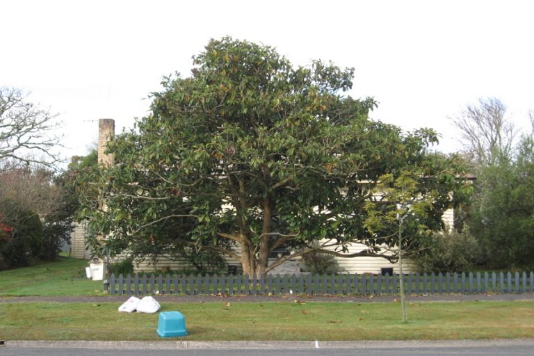 Photo of property in 30 Oxford Street, Fairfield, Hamilton, 3214