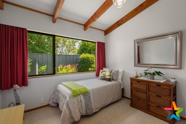 Photo of property in 60 Parry Palm Avenue, Waihi, 3610