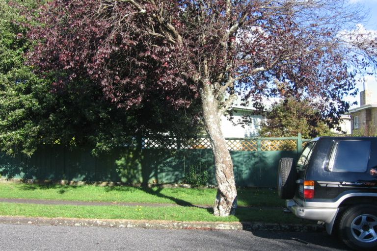 Photo of property in 1 Anne Street, Tokoroa, 3420