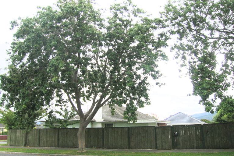 Photo of property in 21 Clyma Street, Elderslea, Upper Hutt, 5018