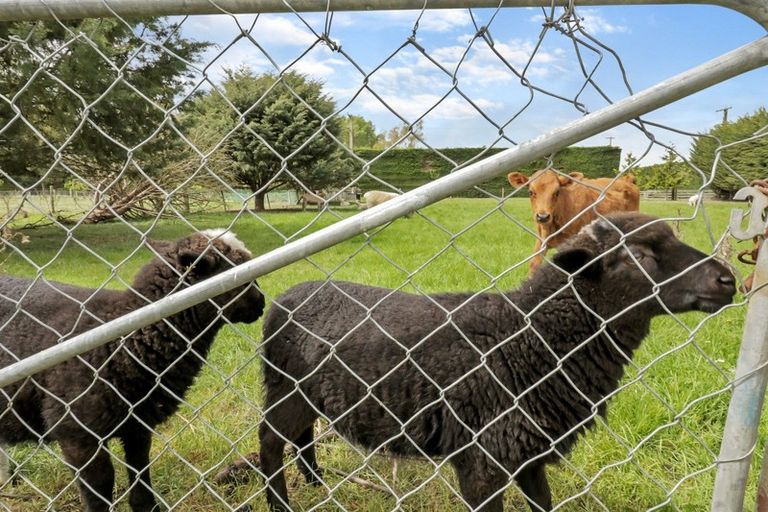 Photo of property in 26 Alice Street, Morven, Waimate, 7980