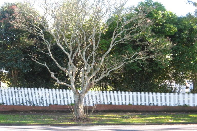 Photo of property in 7 Oakley Avenue, Claudelands, Hamilton, 3214