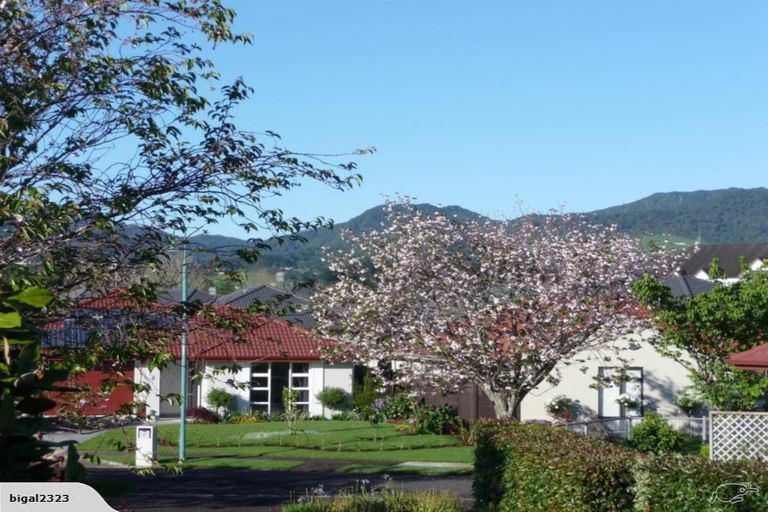 Photo of property in 5 Turnberry Close, Aongatete, Katikati, 3178