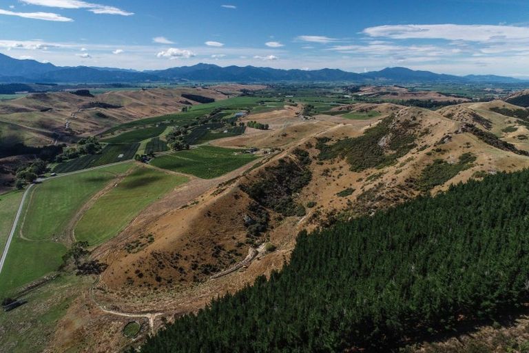 Photo of property in 287 Barracks Road, Hawkesbury, Renwick, 7272