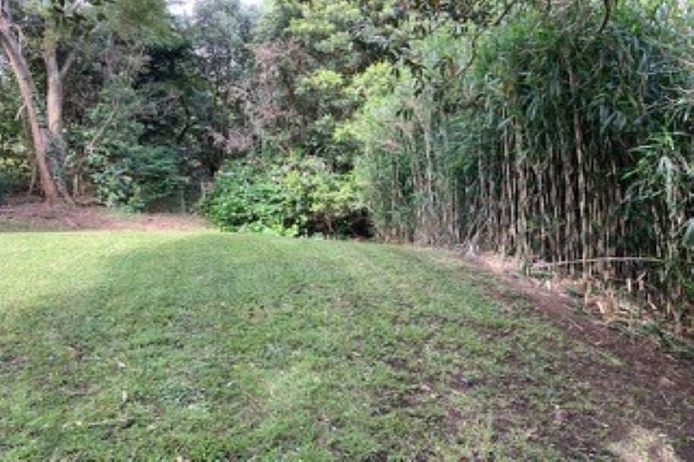 Photo of property in 11 Ron Wyatt Lane, Waiuku, 2123