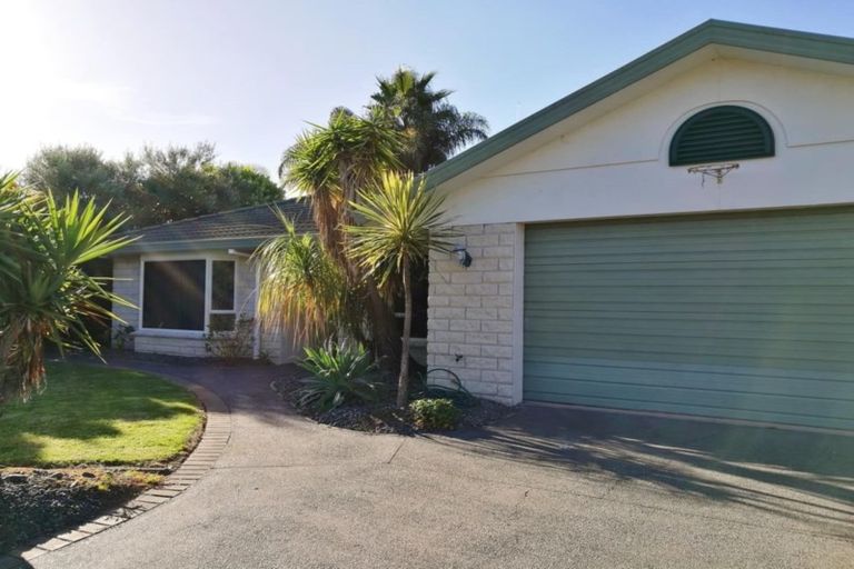 Photo of property in 43 Bayfair Drive, Mount Maunganui, 3116