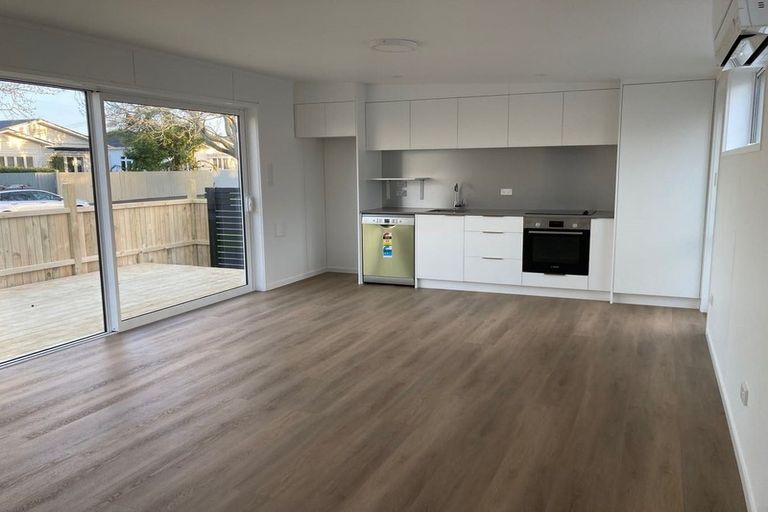 Photo of property in 50 Dignan Street, Point Chevalier, Auckland, 1022