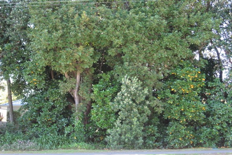 Photo of property in 513 Aberdeen Road, Te Hapara, Gisborne, 4010