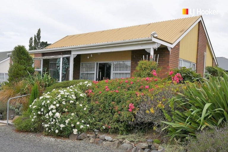 Photo of property in 86a Ronaldsay Street, Palmerston, 9430