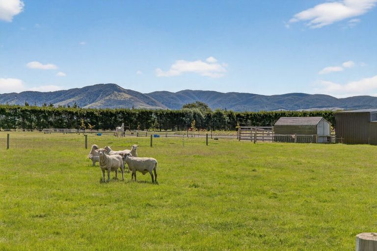 Photo of property in 449 Ashley Road, Cust, Rangiora, 7471