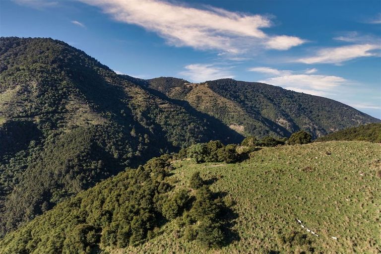 Photo of property in 184 Blue Duck Valley Road, Seaward Valley, Kaikoura, 7371