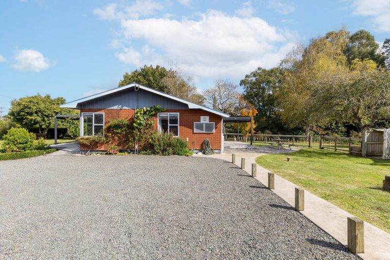 Photo of property in 192 Waotu Road, Putaruru, 3481