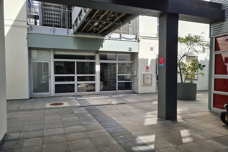 Photo of property in Hanson House, 2/27 Hanson Street, Mount Cook, Wellington, 6021