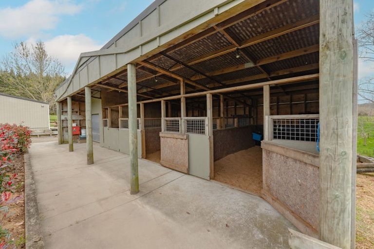 Photo of property in 255 Ararimu Valley Road, Helensville, Waimauku, 0882