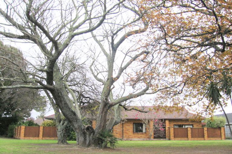 Photo of property in 41 Upham Crescent, Taradale, Napier, 4112