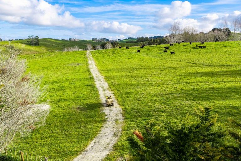 Photo of property in 272 Huarau Road, Whakapirau, Maungaturoto, 0583