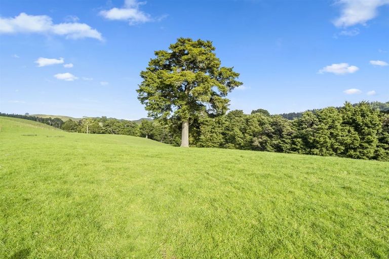 Photo of property in 216 Haruru Road, Kaukapakapa, 0873