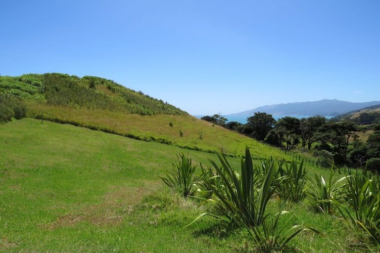 Photo of property in 1592 Colville Road, Amodeo Bay, Coromandel, 3584