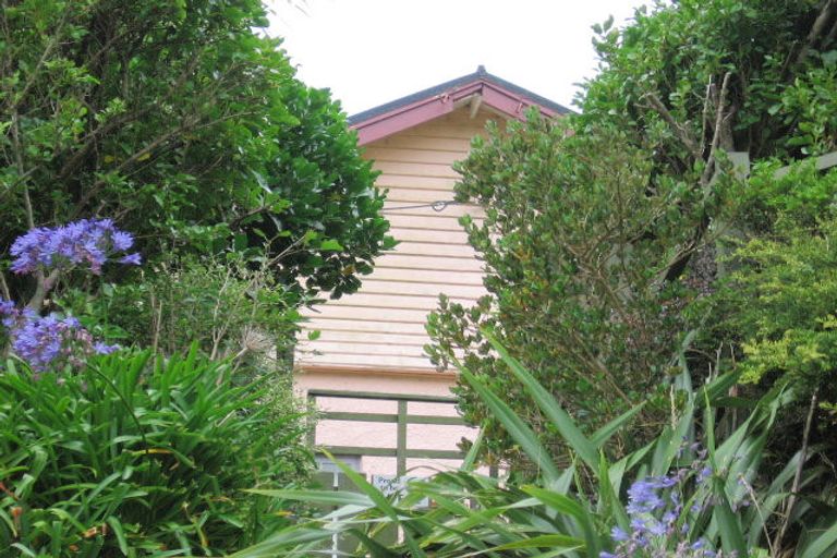 Photo of property in 11 Cheesman Street, Brooklyn, Wellington, 6021