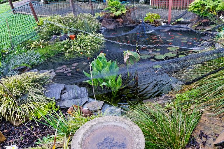 Photo of property in 32 Longfellow Parade, Glen Eden, Auckland, 0604