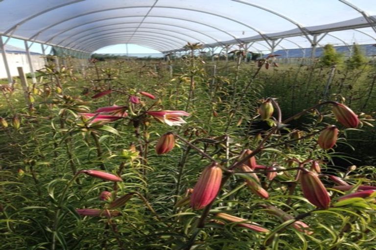 Photo of property in 94 Thews Road, Tinwald, Ashburton, 7778