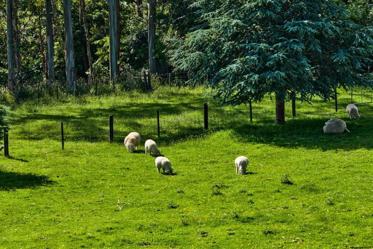 Photo of property in 92 Kaitawa Road, Hautere, Otaki, 5582