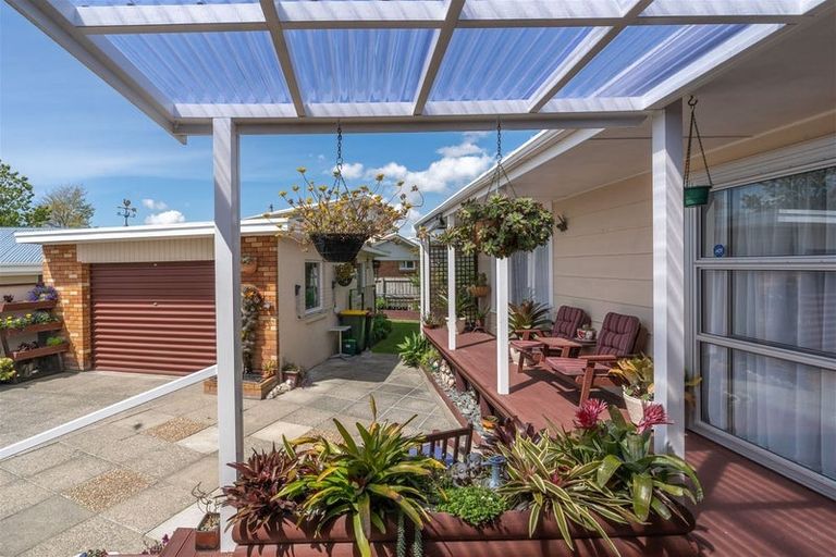 Photo of property in 64 Ascot Road, Chartwell, Hamilton, 3210