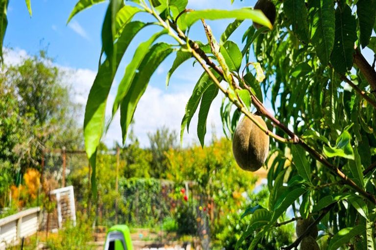 Photo of property in 97 Tiverton Street, Palmerston, 9430