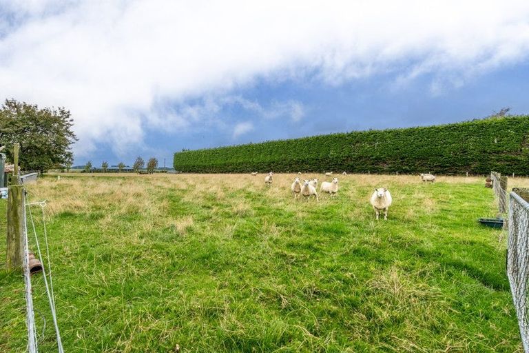 Photo of property in 50 Myross Road, Myross Bush, Invercargill, 9876