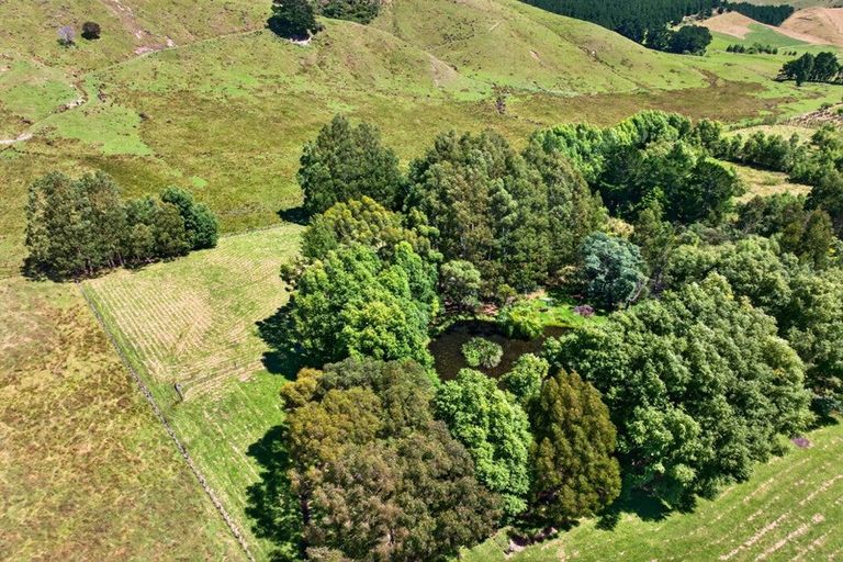 Photo of property in 869 Norfolk Road, Upper Plain, Carterton, 5791