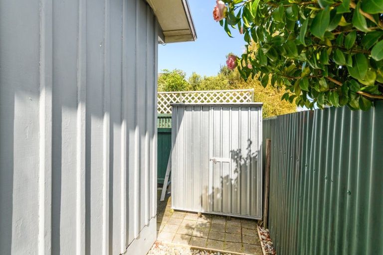 Photo of property in 458 Ruahine Street, Terrace End, Palmerston North, 4410