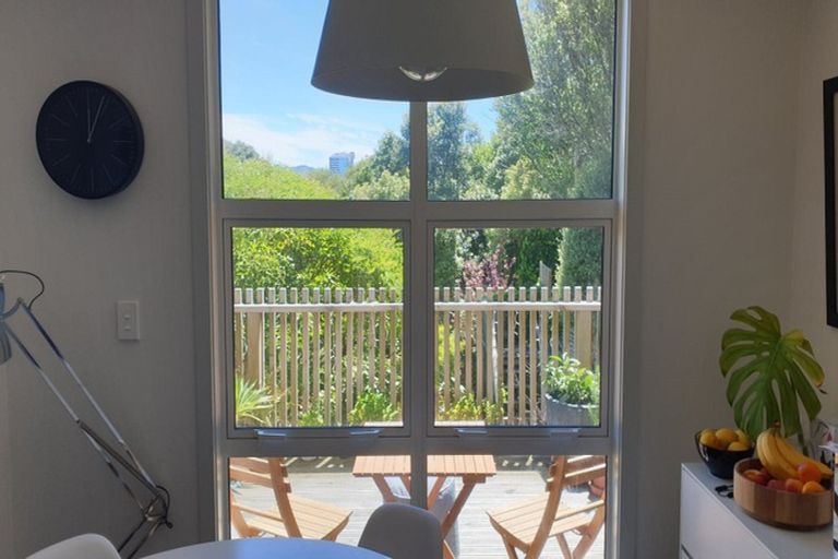 Photo of property in 46b Thompson Street, Mount Cook, Wellington, 6011