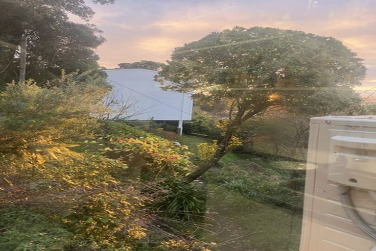 Photo of property in 56 Raroa Road, Kelburn, Wellington, 6012