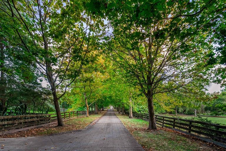 Photo of property in 47 Postman Road, Dairy Flat, Albany, 0794