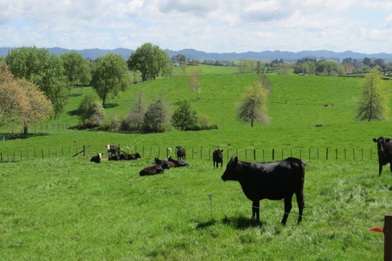 Photo of property in 103 Jury Road, Ngahinapouri, Hamilton, 3290